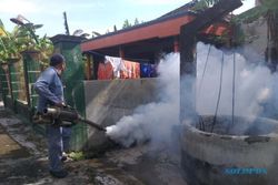 Chikungunya Merebak di Cawas Klaten, Sumur jadi Sarang Jentik Nyamuk
