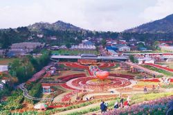 Kutabawa Rainbow Garden, Wisata Kebun Bunga Cantik di Kaki Slamet
