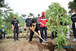 Gandeng 10.000 Anak Muda, Menteri LHK Pimpin Penanaman 86.000 Pohon