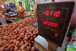 Dipicu Harga Pakan Tinggi, Telur Ayam Tembus Rp30.000/Kg