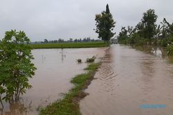 Hujan Berjam-Jam, 388 Rumah di Madiun Terendam Banjir