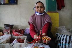 Harga Cabai Rawit di Klaten Kian Meroket Hingga Rp90.000/Kg