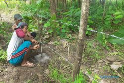 Lahan Terdampak Proyek JLT Sukoharjo Dipasangi Kawat Berduri