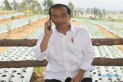 Dikunjungi Jokowi, Begini Curhatan Petani Bawang Putih Temanggung