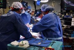 Transplantasi Organ Babi pada Manusia Berhasil, Kontroversi Etik Muncul