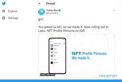 Twitter Perkenalkan Fitur Baru, Bikin Pengguna Bisa Pamer NFT