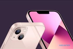 Jelang Lebaran Harga iPhone 11-iPhone 14 Turun. Cek di Sini