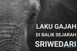 Sabuk Janur dan Kisah Laku Gajah di Balik Sejarah Sriwedari