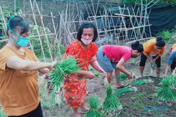 Kelompok Wanita Tani di Banjarsari Solo Sukses Berbisnis Sayur Organik