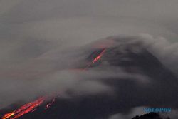 Aktivitas Gunung Merapi Luncurkan 45 Kali Lava Pijar, Ini Foto-Fotonya