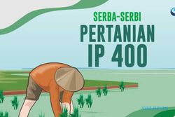 Bisa Panen Padi 4 Kali Setahun, Ini Serba-Serbi Pertanian IP 400