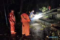 Hujan Deras Disertai Angin Kencang, 33 Rumah Rusak dan 27 Pohon Tumbang