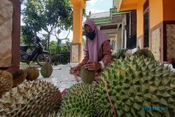 Musim Panen Tiba! Penikmat Durian Bisa Merapat ke Segulung Madiun