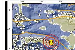 Gempa Magnitudo 5,7 Guncang Maluku, Terasa Hingga Sorong