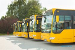Viral Parkir Nuthuk, Bus Pariwisata Masuk Jogja Lebih Diperketat