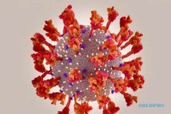 Fakta-Fakta Varian BA.2, Virus Baru yang Disebut Son of Omicron