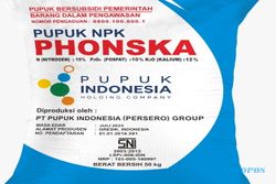 Pupuk Indonesia Turunkan Produksi NPK, Begini Alasannya