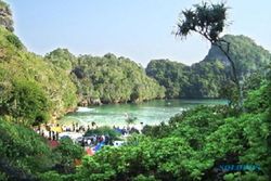Indahnya Segara Anakan Cilacap, Wisata Mangrove Terlengkap