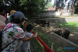 Wisata Kuliner dan Alam Soloraya Paling Diminati Turis Saat Pandemi