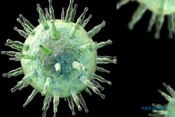 Hasil Penelitian: Virus Herpes Berpotensi Picu Multiple Sclerosis