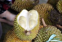 Pasar Kembang Kemalang, Salah Satu Surga Durian di Klaten