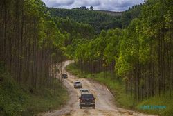 Hari Hutan Sedunia dan Konsep Kota Hutan di IKN Nusantara