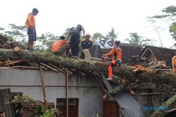 13 Rumah di Klaten Tertimpa Pohon Tumbang, 2 Warga Terluka