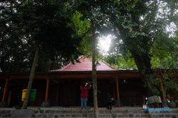 Ini Pohon-Pohon Langka di Makam Pangeran Samudra Gunung Kemukus