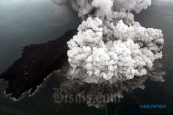Hujan Abu Lebat Potensi Bahaya Utama Erupsi Anak Krakatau