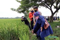 Penasaran Jebakan Tikus Listrik, Anggota DPR RI Turun ke Sawah Sragen