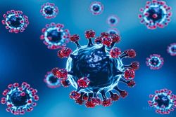 Epidemiolog: Hanya WHO yang Berwenang Mencabut Status Pandemi