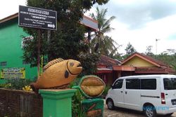 Inilah Sentra Durian Banyumas, Terbaik Se-Indonesia