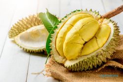 Desa Wadas Purworejo Ternyata Surga Durian Hlo