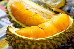 Durian Bawor Banyumas Lebih Legit dari Monthong Thailand