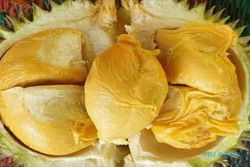 Kholil & Malika, Durian Lokal Semarang Rasa Internasional