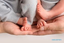 Ingin Anak Kembar dari Bayi Tabung, Berapakah Biayanya?