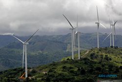Menteri ESDM Singgung Potensi Energi Angin Papua di Denmark, Ada Apa?