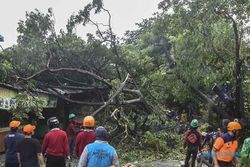 Hujan Disertai Angin Robohkan Pohon dan Atap Rumah di Bekasi Jabar