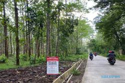 Hutan Larangan Kendal, Saksi Bisu Pembantaian G30S-PKI di Jawa Tengah
