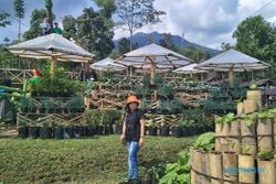 Taman Sayur Kendal, Agrowisata Kekinian di Jateng