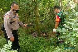 Jasad Wanita Misterius di Bawah Tol Semarang Korban Pembunuhan