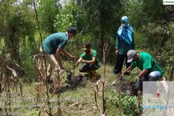 Peringati HUT ke-61, Perhutani Bagikan Bibit untuk Warga Wonogiri