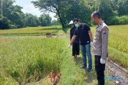 Seorang Petani Ditemukan Meninggal dalam Posisi Sujud di Sawah Ponorogo