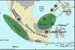 Sundaland, Ketika Pulau Jawa, Sumatra, dan Kalimantan Jadi Satu