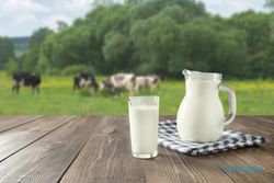 Apakah Susu Sapi Efektif Melawan Covid-19? Ini Penjelasannya