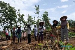 Wow! Mantan Kades di Magelang Hibahkan Lahan untuk Warga Terdampak Tol