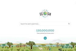 Serba-serbi Ecosia, Mesin Pencari Yang Bisa Menanam Pohon
