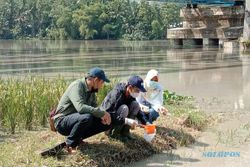 Gawat! Ribuan Ikan di Sungai Serayu Mati, Tercemar Limbah B3?