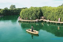 Jadi Paru-Paru Dunia, Mangrove Juga Jamin Food Security Warga Pesisir