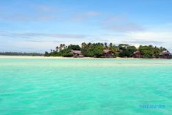 Pesona Pulau Gosong, Hamparan Terumbu Karang di Pantai Rembang